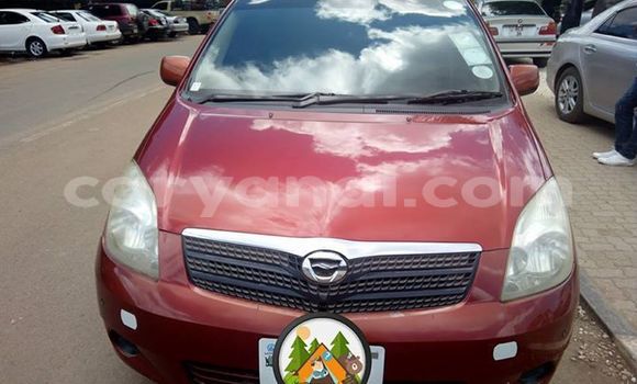 Buy Used Toyota Spacio Red Car in Lusaka in Zambia Buy Used Toyota Spacio Red Car in Lusaka in Zambia