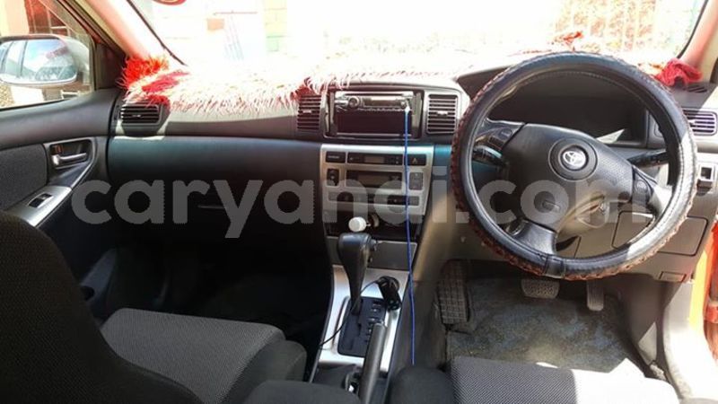 Big with watermark 25075045 1436706473124388 2663118157098388861 o