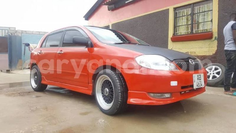 Big with watermark 25152125 1436706493124386 3988117729400250843 n