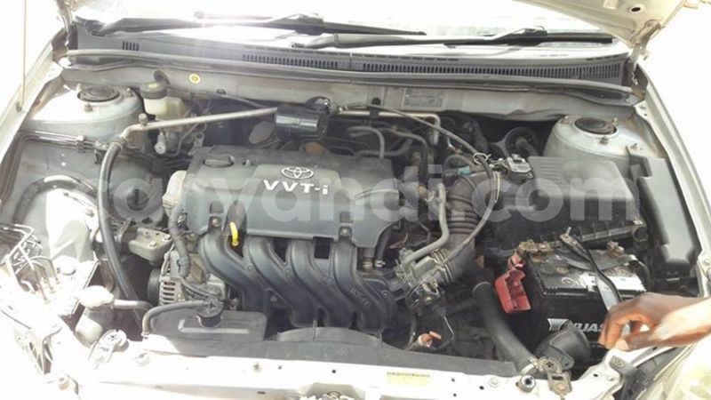 Big with watermark 25152125 1436706493124386 3988117729400250843 n