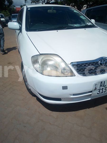 Big with watermark 24959109 1372679829509431 2290911251372580814 o