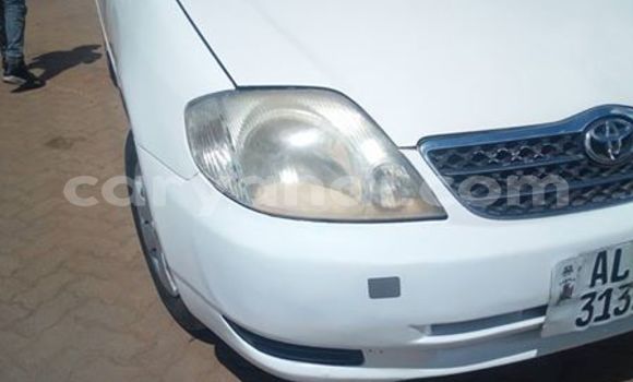 Buy Used Toyota Runx White Car in Lusaka in Zambia Buy Used Toyota Runx White Car in Lusaka in Zambia