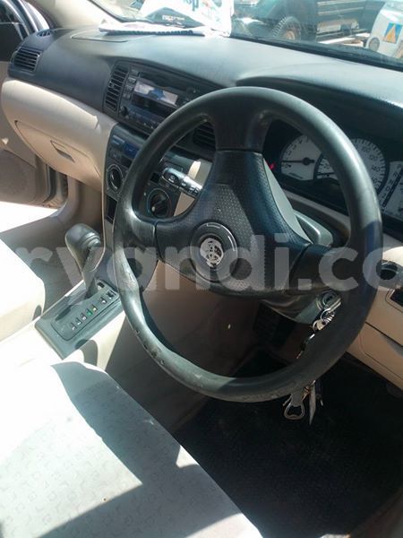 Big with watermark 25152125 1436706493124386 3988117729400250843 n