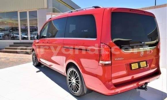 Buy Used Mercedes‒Benz V-klasse Red Car in Livingstone in Zambia Buy Used Mercedes‒Benz V-klasse Red Car in Livingstone in Zambia