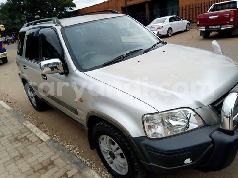 Big with watermark 24959109 1372679829509431 2290911251372580814 o