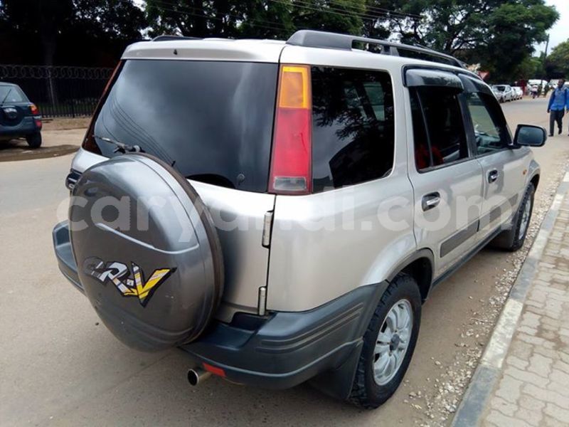 Big with watermark 25075045 1436706473124388 2663118157098388861 o