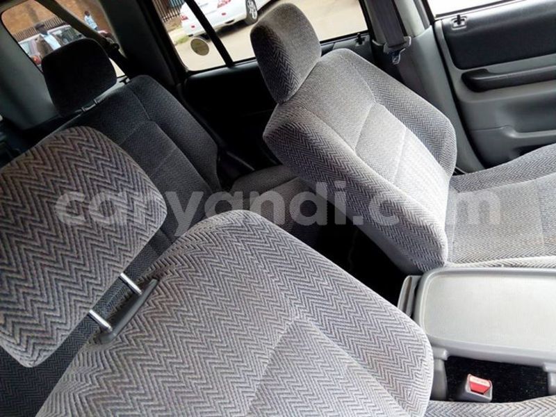 Big with watermark 25152125 1436706493124386 3988117729400250843 n