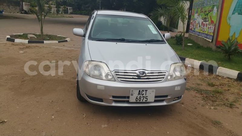 Big with watermark 24959109 1372679829509431 2290911251372580814 o