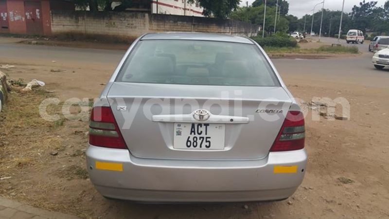 Big with watermark 25075045 1436706473124388 2663118157098388861 o