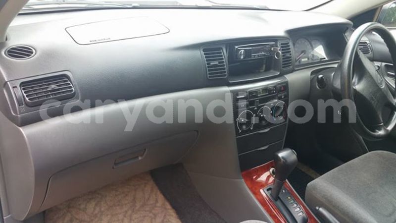 Big with watermark 25152125 1436706493124386 3988117729400250843 n