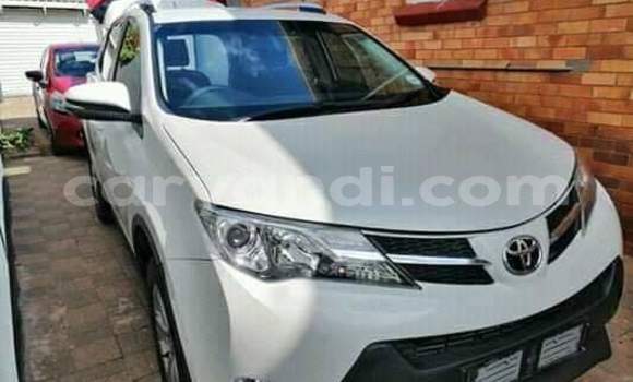 Tenga Tsaru Toyota RAV4 Chena Mota in Lusaka in Zambia Tenga Tsaru Toyota RAV4 Chena Mota in Lusaka in Zambia