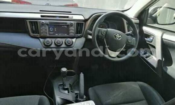 Tenga Tsaru Toyota RAV4 Chena Mota in Lusaka in Zambia Tenga Tsaru Toyota RAV4 Chena Mota in Lusaka in Zambia