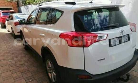 Tenga Tsaru Toyota RAV4 Chena Mota in Lusaka in Zambia Tenga Tsaru Toyota RAV4 Chena Mota in Lusaka in Zambia