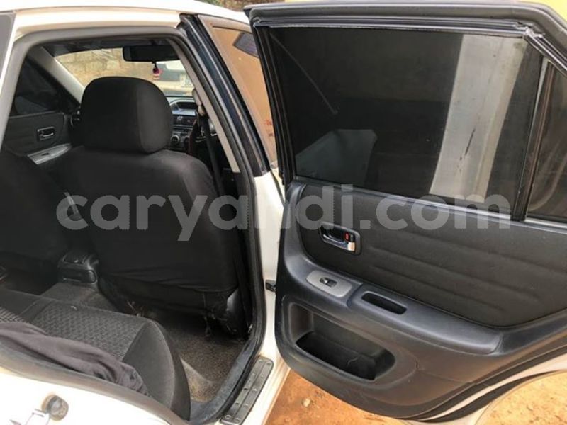 Big with watermark 25075045 1436706473124388 2663118157098388861 o