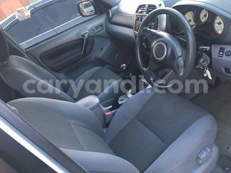 Big with watermark 25075045 1436706473124388 2663118157098388861 o