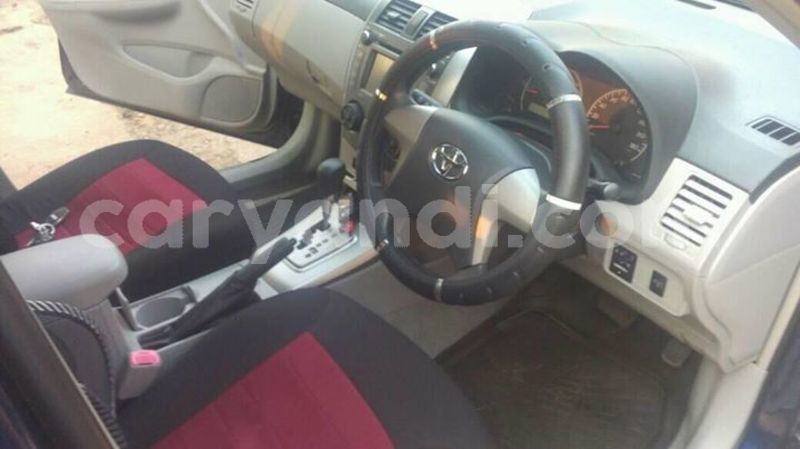 Big with watermark 25152125 1436706493124386 3988117729400250843 n