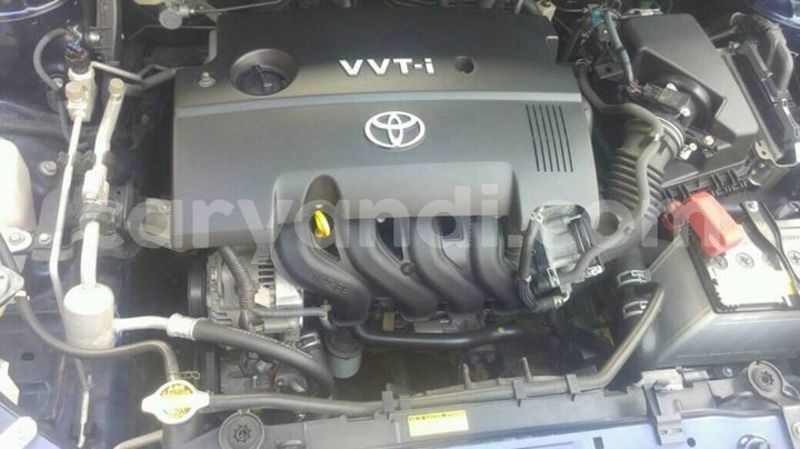 Big with watermark 25348502 1436706549791047 3015609493847363516 n