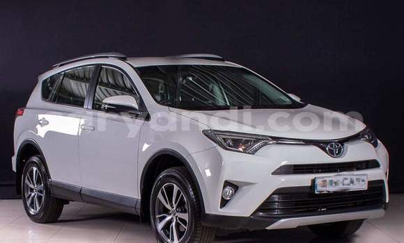 Buy Used Toyota RAV4 White Car in Livingstone in Zambia Buy Used Toyota RAV4 White Car in Livingstone in Zambia