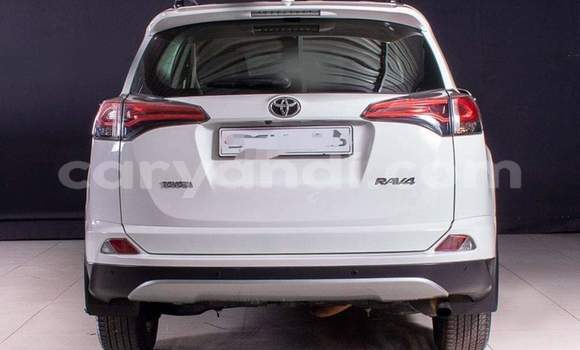 Buy Used Toyota RAV4 White Car in Livingstone in Zambia Buy Used Toyota RAV4 White Car in Livingstone in Zambia