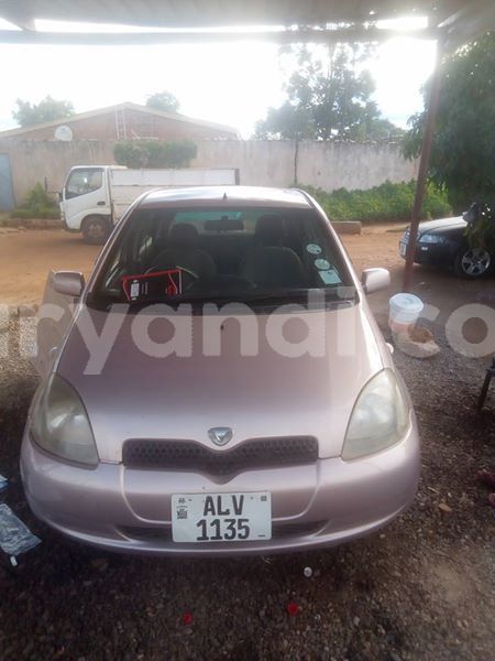 Big with watermark 25152125 1436706493124386 3988117729400250843 n