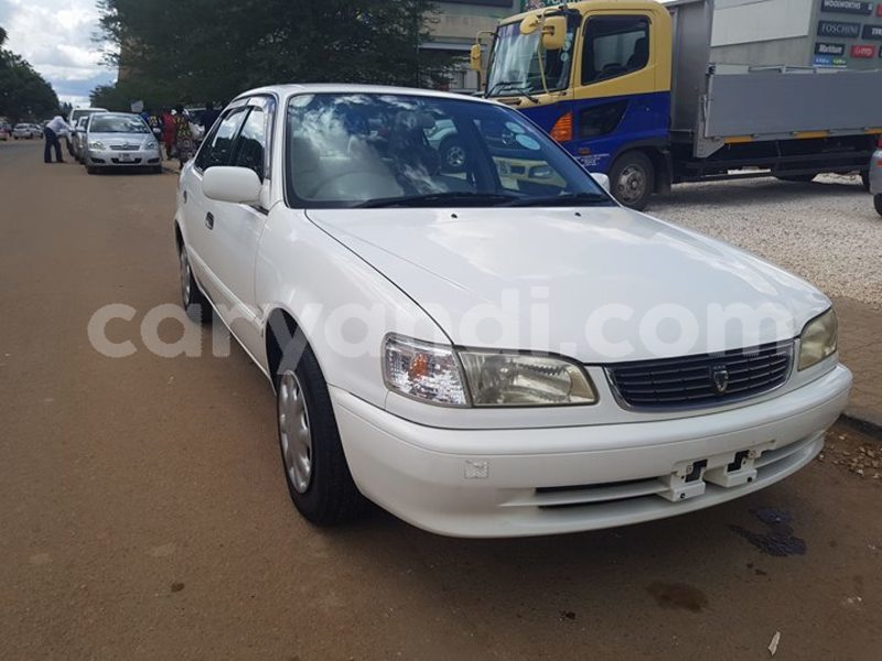 Big with watermark 24959109 1372679829509431 2290911251372580814 o