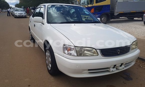 Buy Used Toyota Corolla White Car in Lusaka in Zambia Buy Used Toyota Corolla White Car in Lusaka in Zambia