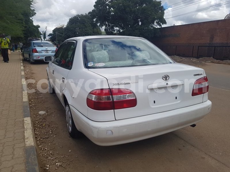 Big with watermark 25075045 1436706473124388 2663118157098388861 o