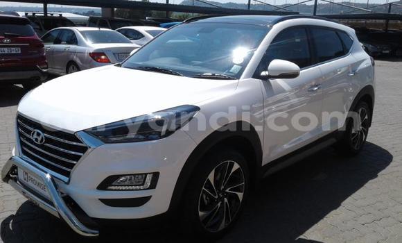 Acheter Occasion Voiture Hyundai Tucson Blanc à Chingola, Zambie Acheter Occasion Voiture Hyundai Tucson Blanc à Chingola, Zambie
