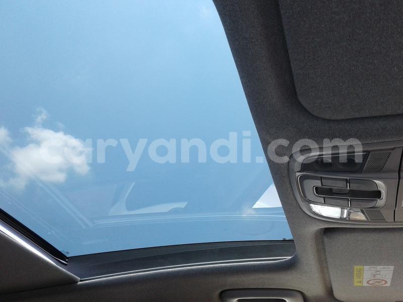 Big with watermark hyundai santa fe zambia chingola 12069