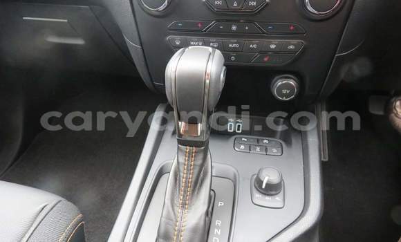 Tenga Tsaru Ford Ranger Chena Mota in Lusaka in Zambia Tenga Tsaru Ford Ranger Chena Mota in Lusaka in Zambia