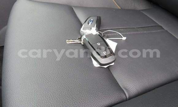 Tenga Tsaru Ford Ranger Chena Mota in Lusaka in Zambia Tenga Tsaru Ford Ranger Chena Mota in Lusaka in Zambia