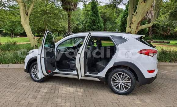 Acheter Occasion Voiture Hyundai Tucson Blanc à Kitwe, Zambie Acheter Occasion Voiture Hyundai Tucson Blanc à Kitwe, Zambie