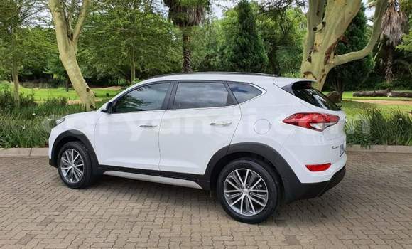 Acheter Occasion Voiture Hyundai Tucson Blanc à Kitwe, Zambie Acheter Occasion Voiture Hyundai Tucson Blanc à Kitwe, Zambie