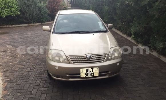 Tenga Tsaru Toyota Allex Zvimwe Mota in Chipata in Zambia Tenga Tsaru Toyota Allex Zvimwe Mota in Chipata in Zambia