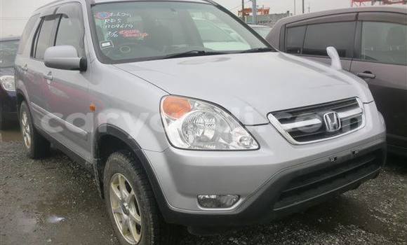 Buy Used Honda CR–V Other Car in Chingola in Zambia