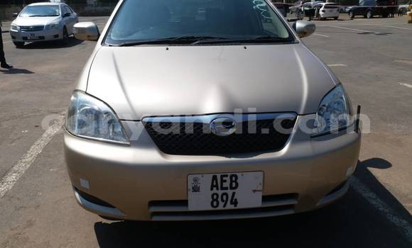 Buy Used Toyota Runx Other Car in Lusaka in Zambia Buy Used Toyota Runx Other Car in Lusaka in Zambia