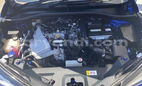 Tenga Tsaru Toyota C-HR Bhuruu Mota in Kitwe in Zambia Tenga Tsaru Toyota C-HR Bhuruu Mota in Kitwe in Zambia