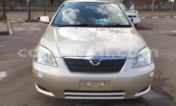 Acheter Occasion Voiture Toyota Runx Autre à Lusaka, Zambie Acheter Occasion Voiture Toyota Runx Autre à Lusaka, Zambie