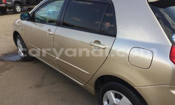 Acheter Occasion Voiture Toyota Runx Autre à Lusaka, Zambie Acheter Occasion Voiture Toyota Runx Autre à Lusaka, Zambie