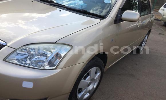 Acheter Occasion Voiture Toyota Runx Autre à Lusaka, Zambie Acheter Occasion Voiture Toyota Runx Autre à Lusaka, Zambie