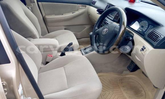 Acheter Occasion Voiture Toyota Runx Autre à Lusaka, Zambie Acheter Occasion Voiture Toyota Runx Autre à Lusaka, Zambie