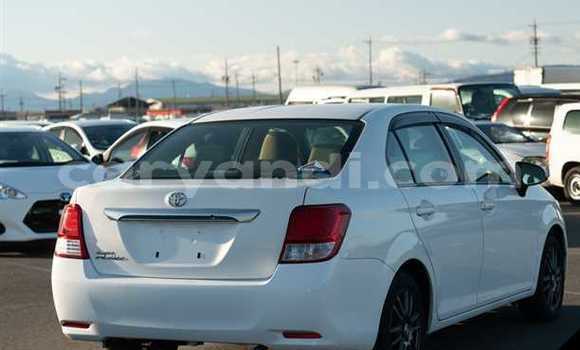 Tenga Tsaru Toyota Corolla Chena Mota in Lusaka in Zambia Tenga Tsaru Toyota Corolla Chena Mota in Lusaka in Zambia
