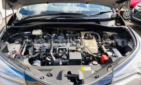 Tenga Tsaru Toyota C-HR Sirivha Mota in Lusaka in Zambia Tenga Tsaru Toyota C-HR Sirivha Mota in Lusaka in Zambia