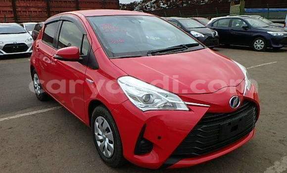 Acheter Occasion Voiture Toyota Vitz Rouge à Lusaka, Zambie Acheter Occasion Voiture Toyota Vitz Rouge à Lusaka, Zambie