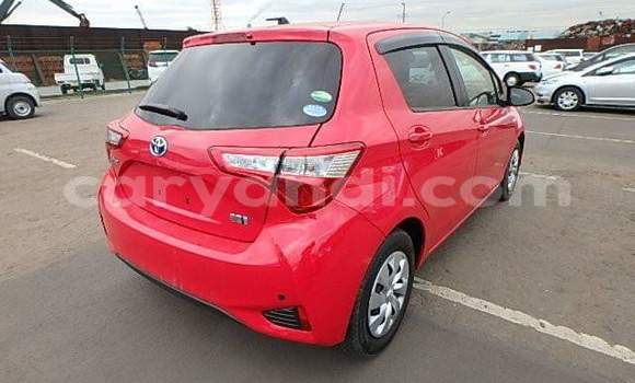 Acheter Occasion Voiture Toyota Vitz Rouge à Lusaka, Zambie Acheter Occasion Voiture Toyota Vitz Rouge à Lusaka, Zambie