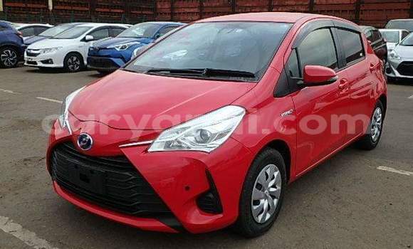 Acheter Occasion Voiture Toyota Vitz Rouge à Lusaka, Zambie Acheter Occasion Voiture Toyota Vitz Rouge à Lusaka, Zambie
