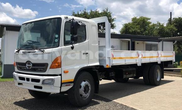 Buy Used Hino Ranger White Truck in Chingola in Zambia
