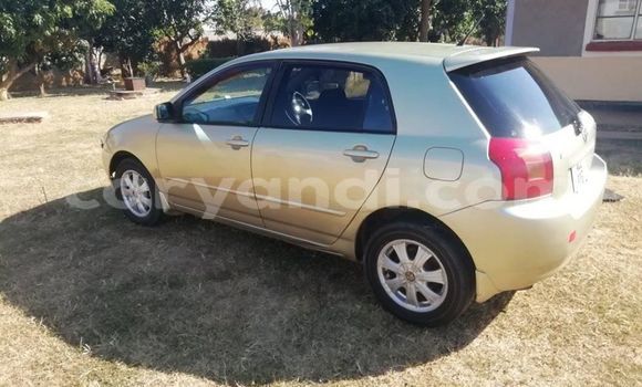 Buy Used Toyota Runx Beige Car in Lusaka in Zambia Buy Used Toyota Runx Beige Car in Lusaka in Zambia
