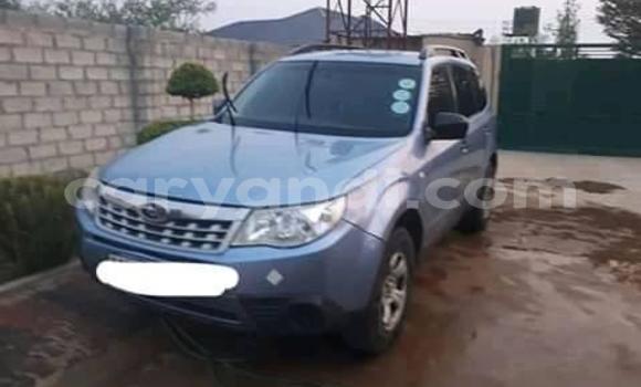 Tenga Tsaru Subaru Forester Bhuruu Mota in Lusaka in Zambia Tenga Tsaru Subaru Forester Bhuruu Mota in Lusaka in Zambia