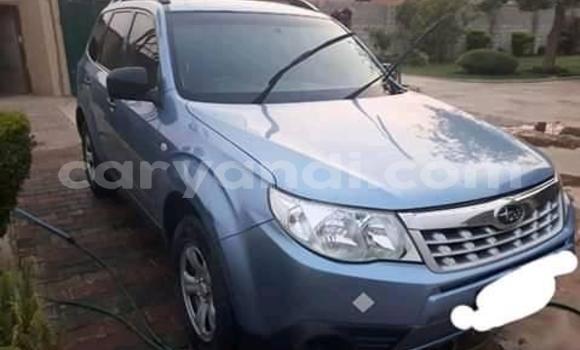 Tenga Tsaru Subaru Forester Bhuruu Mota in Lusaka in Zambia Tenga Tsaru Subaru Forester Bhuruu Mota in Lusaka in Zambia